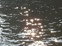 Révélateur du Soi - Copyright Philippe-David Stellaire