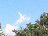 Révélateur du Soi - Copyright Philippe-David Stellaire