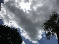 Révélateur du Soi - Copyright Philippe-David Stellaire