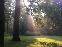 Révélateur du Soi - Copyright Philippe-David Stellaire