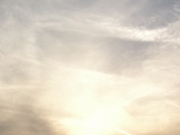 Révélateur du Soi - Copyright Philippe-David Stellaire