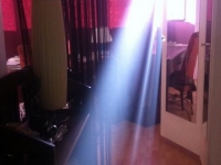 Révélateur du Soi - Copyright Philippe-David Stellaire