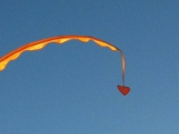 Révélateur du Soi - Copyright Philippe-David Stellaire