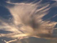 Révélateur du Soi - Copyright Philippe-David Stellaire