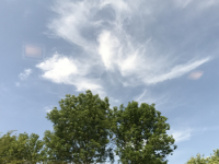 Révélateur du Soi - Copyright Philippe-David Stellaire