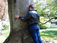 Révélateur du Soi - Copyright Philippe-David Stellaire