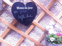 Révélateur du Soi - Copyright Philippe-David Stellaire