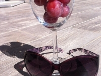 Révélateur du Soi - Copyright Philippe-David Stellaire