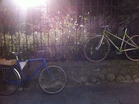 Révélateur du Soi - Copyright Philippe-David Stellaire