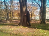 Révélateur du Soi - Copyright Philippe-David Stellaire