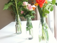 Révélateur du Soi - Copyright Philippe-David Stellaire