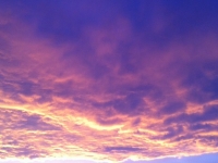 Révélateur du Soi - Copyright Philippe-David Stellaire