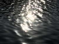 Révélateur du Soi - Copyright Philippe-David Stellaire