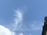 Révélateur du Soi - Copyright Philippe-David Stellaire