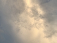 Révélateur du Soi - Copyright Philippe-David Stellaire