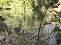 Révélateur du Soi - Copyright Philippe-David Stellaire