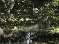 Révélateur du Soi - Copyright Philippe-David Stellaire