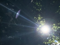 Révélateur du Soi - Copyright Philippe-David Stellaire