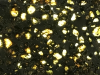 Révélateur du Soi - Copyright Philippe-David Stellaire