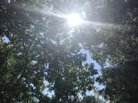 Révélateur du Soi - Copyright Philippe-David Stellaire