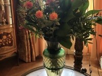 Révélateur du Soi - Copyright Philippe-David Stellaire