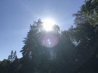 Révélateur du Soi - Copyright Philippe-David Stellaire