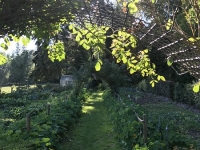 Révélateur du Soi - Copyright Philippe-David Stellaire