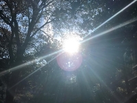 Révélateur du Soi - Copyright Philippe-David Stellaire