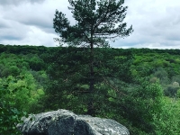 Révélateur du Soi - Copyright Philippe-David Stellaire