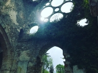 Révélateur du Soi - Copyright Philippe-David Stellaire