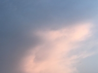 Révélateur du Soi - Copyright Philippe-David Stellaire