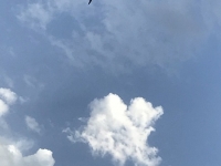 Révélateur du Soi - Copyright Philippe-David Stellaire