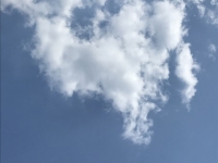 Révélateur du Soi - Copyright Philippe-David Stellaire