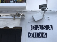 Révélateur du Soi - Copyright Philippe-David Stellaire