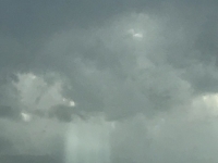 Révélateur du Soi - Copyright Philippe-David Stellaire