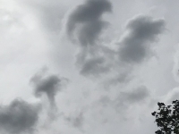 Révélateur du Soi - Copyright Philippe-David Stellaire