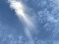 Révélateur du Soi - Copyright Philippe-David Stellaire