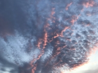 Révélateur du Soi - Copyright Philippe-David Stellaire