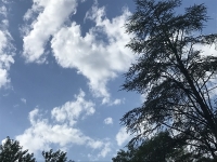 Révélateur du Soi - Copyright Philippe-David Stellaire